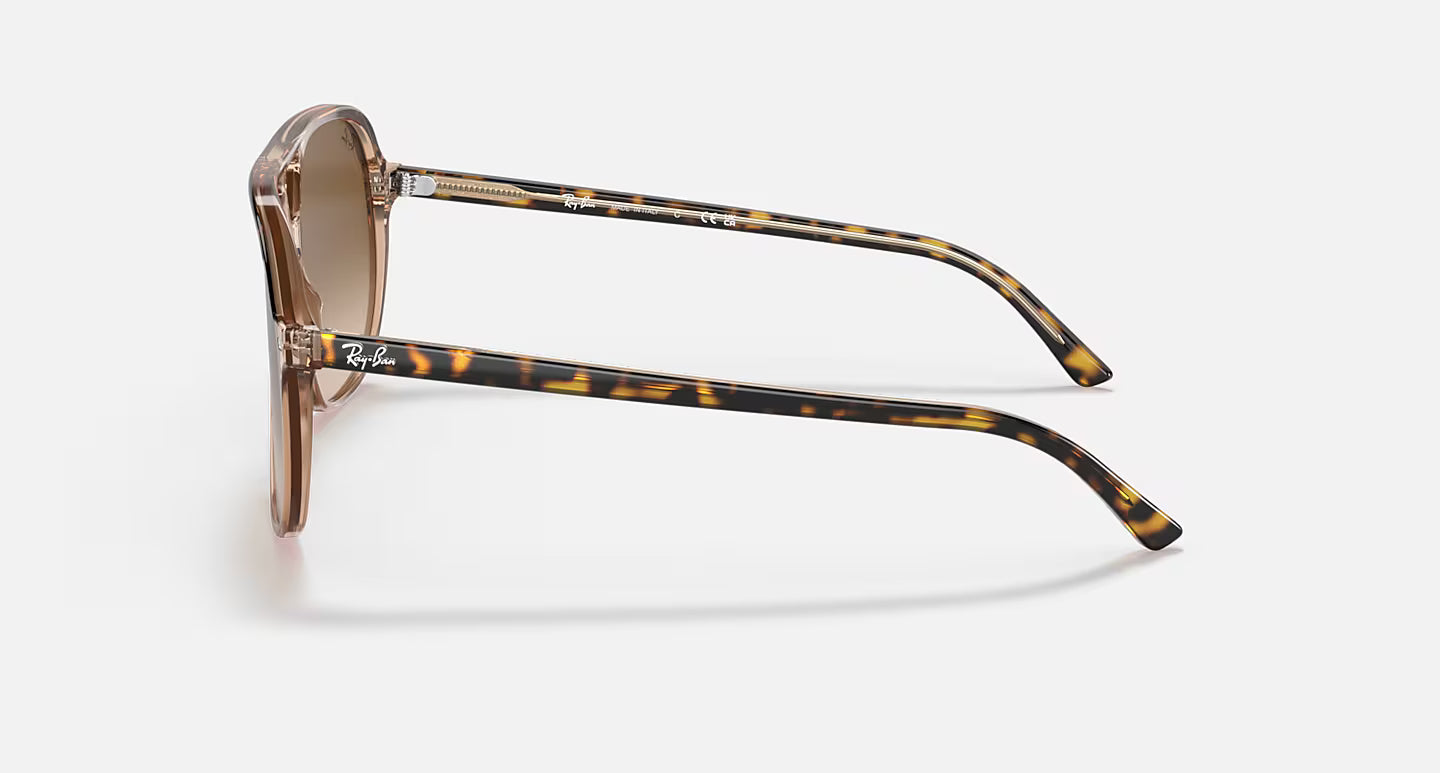 Ray-Ban Bill RB2198 60