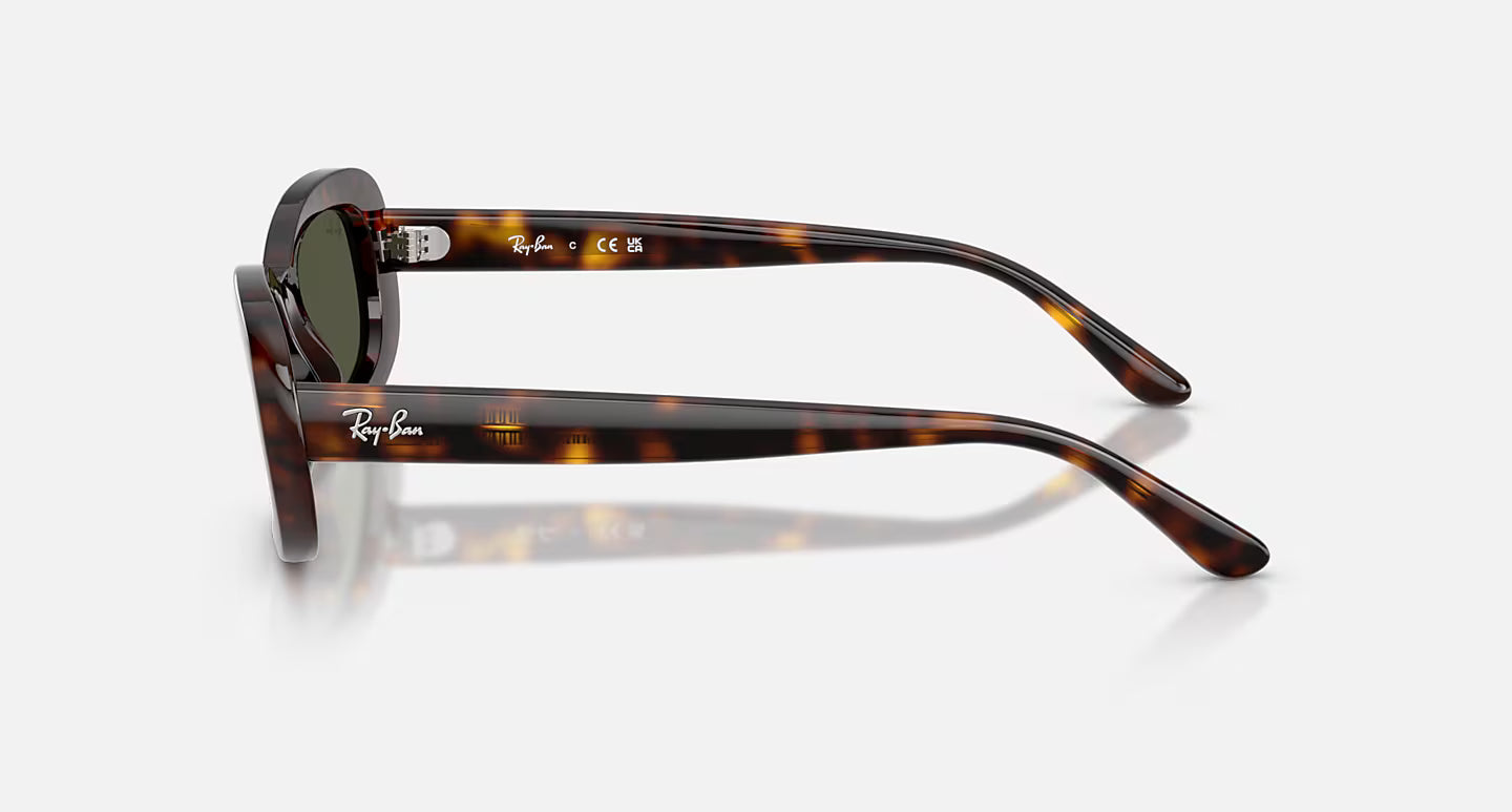 Ray-Ban RB2221 56