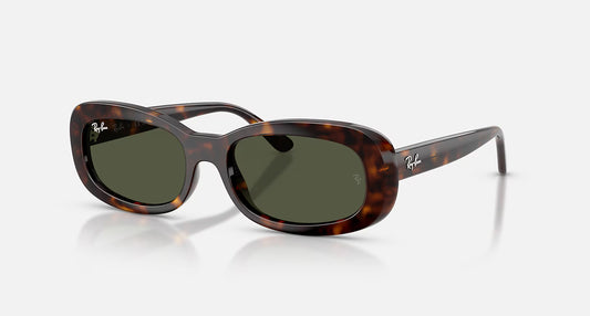 Ray-Ban RB2221 56