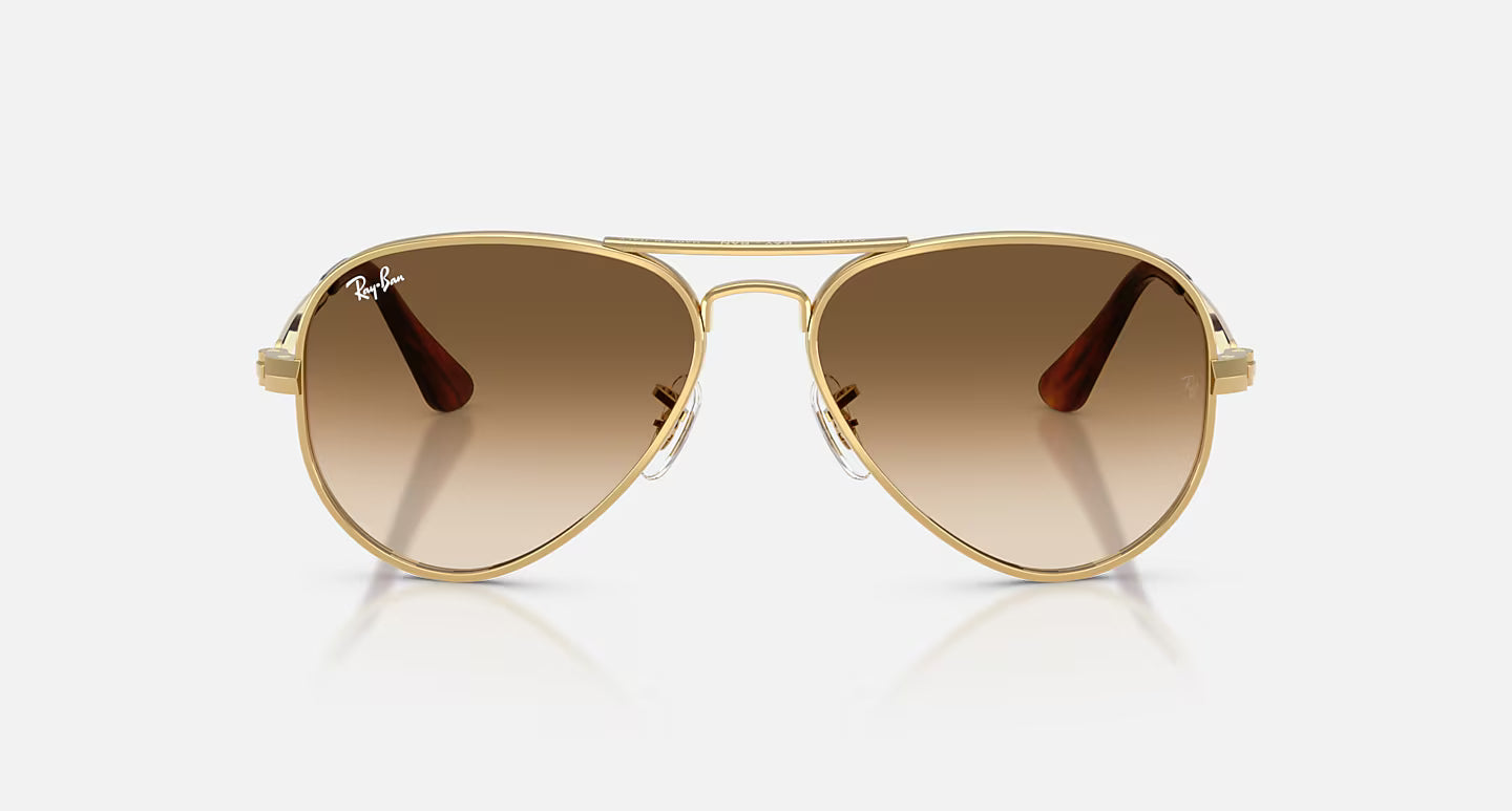 Ray-Ban Aviator Max RB3925 58