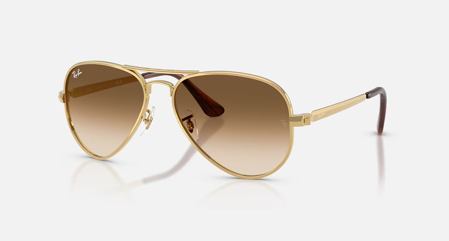 Ray-Ban Aviator Max RB3925 58