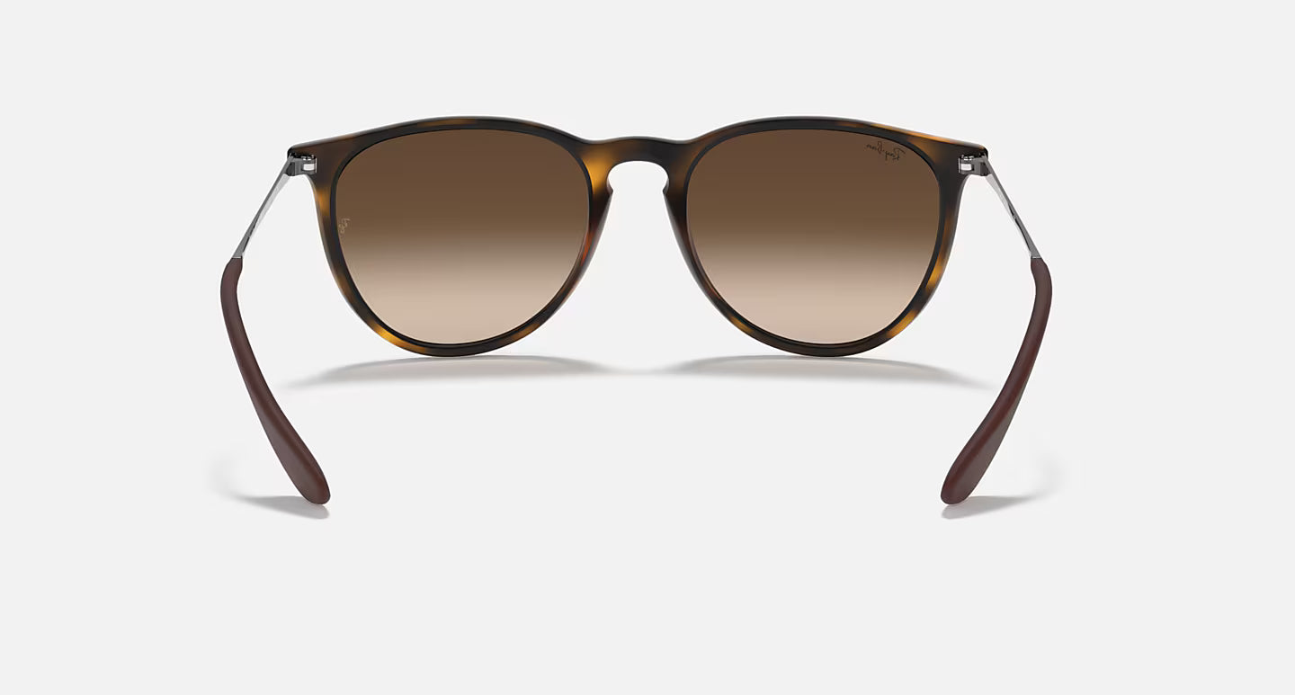 Ray-Ban Erika Classic RB4171L 54