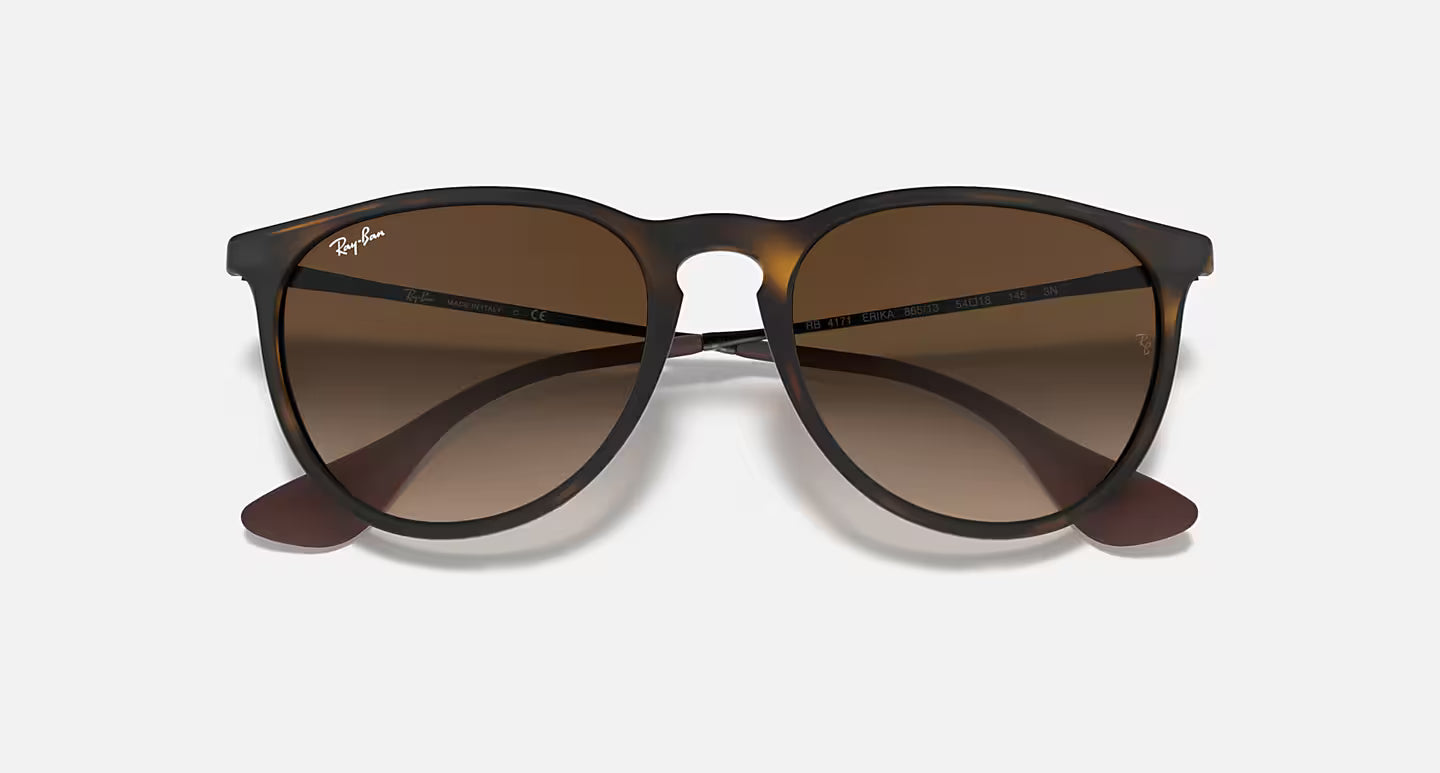 Ray-Ban Erika Classic RB4171L 54