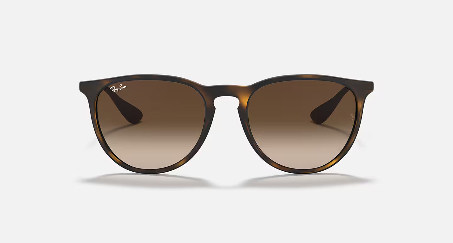 Ray-Ban Erika Classic RB4171L 54