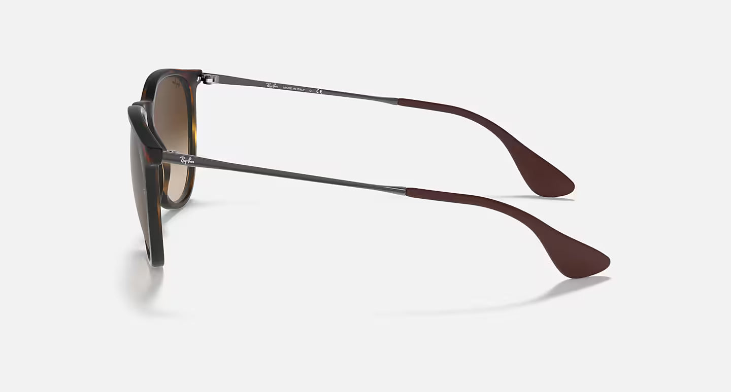 Ray-Ban Erika Classic RB4171L 54