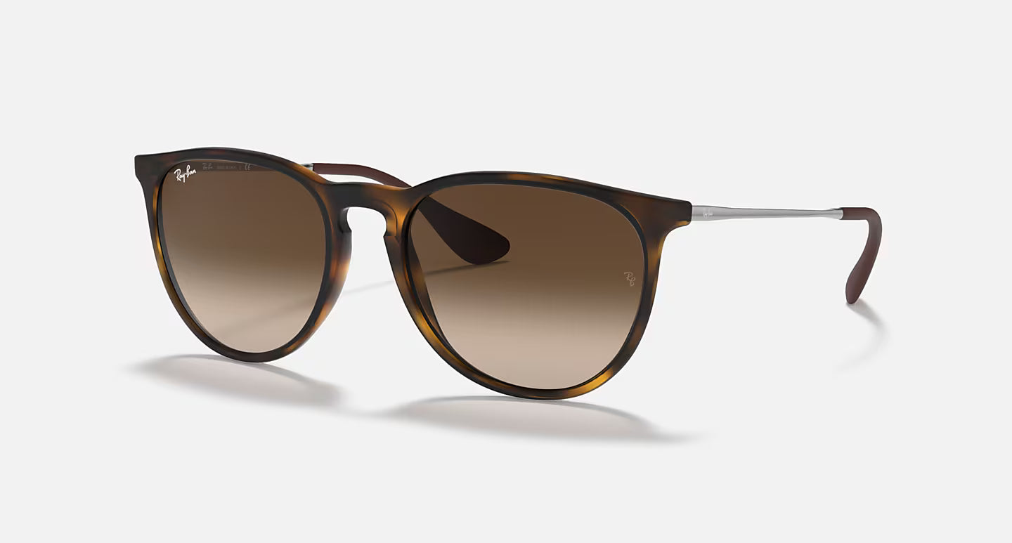 Ray-Ban Erika Classic RB4171L 54