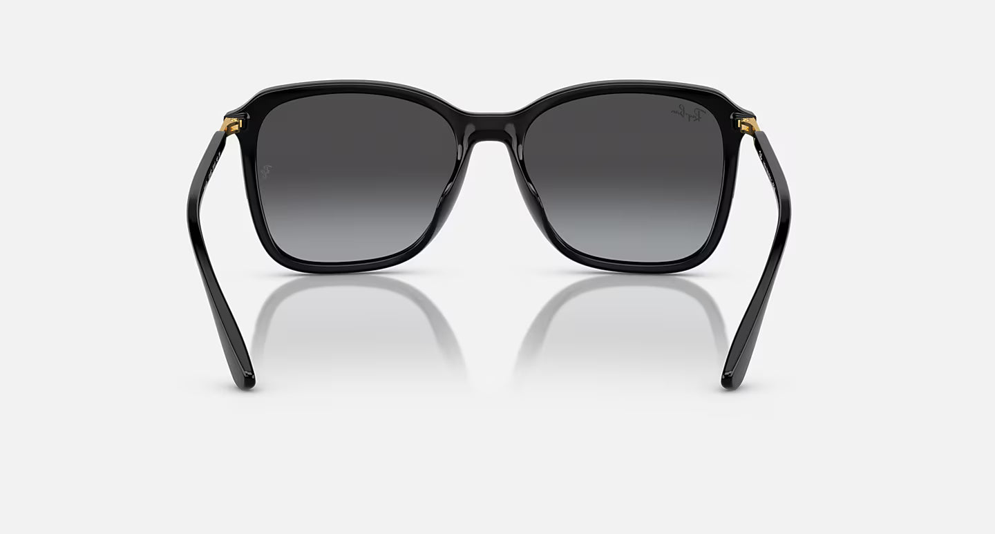 Ray-Ban RB4417L 55