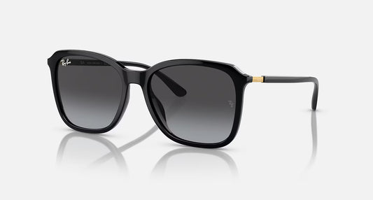Ray-Ban RB4417L 55