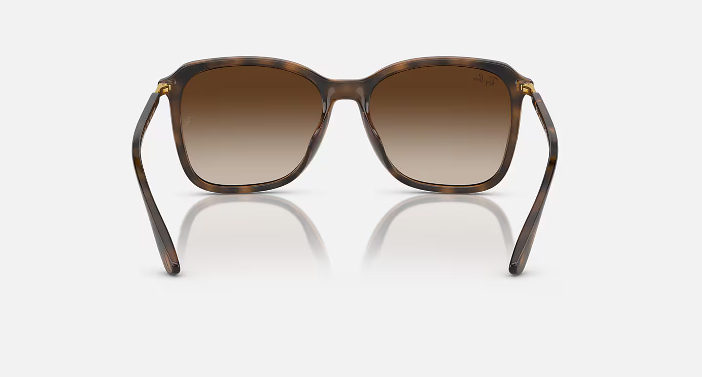 Ray-Ban RB4417L 55