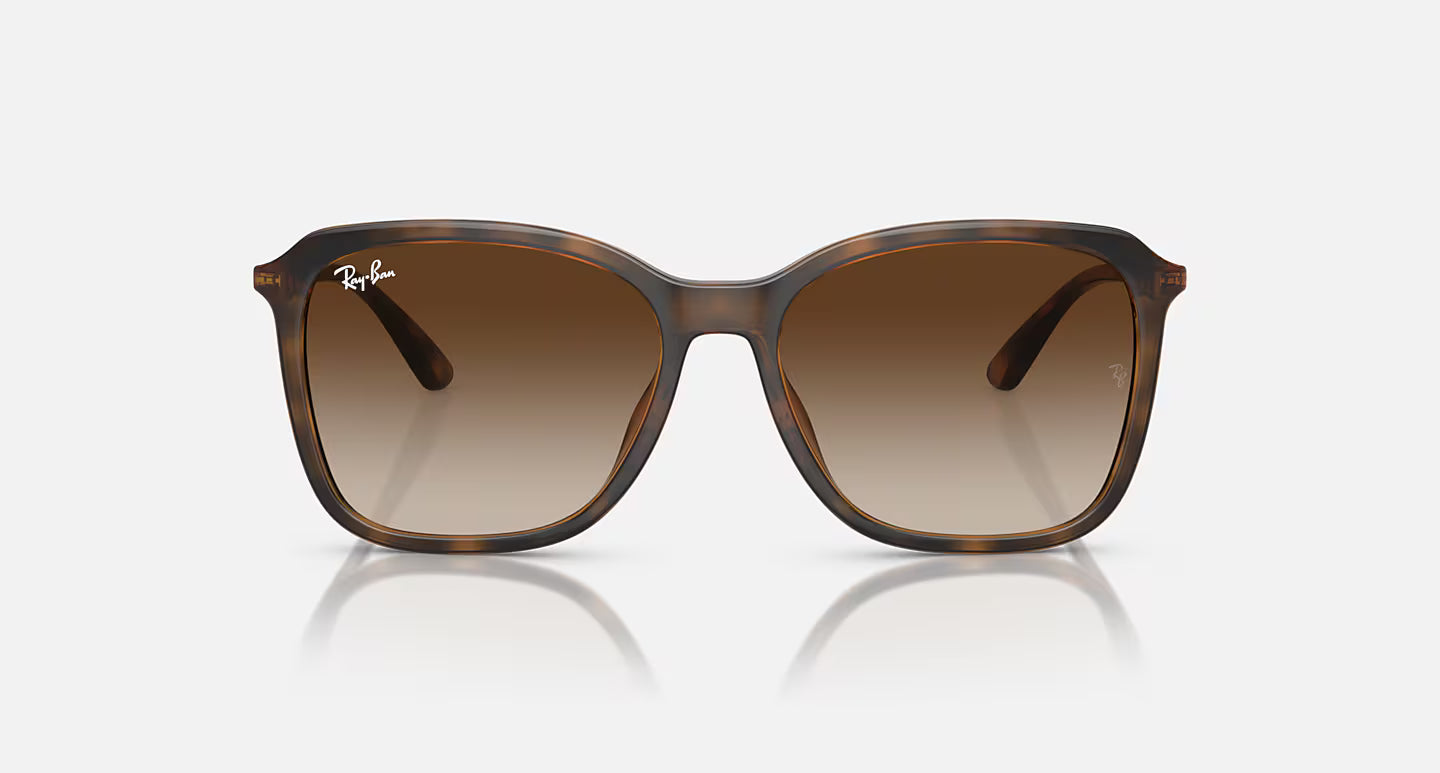 Ray-Ban RB4417L 55