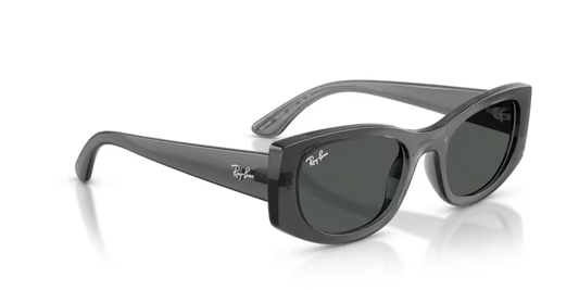 Ray-Ban RB4446L 54