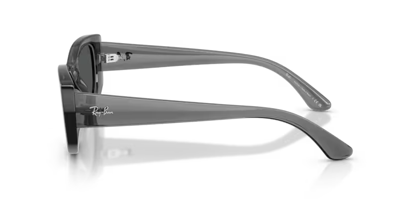 Ray-Ban RB4446L 54