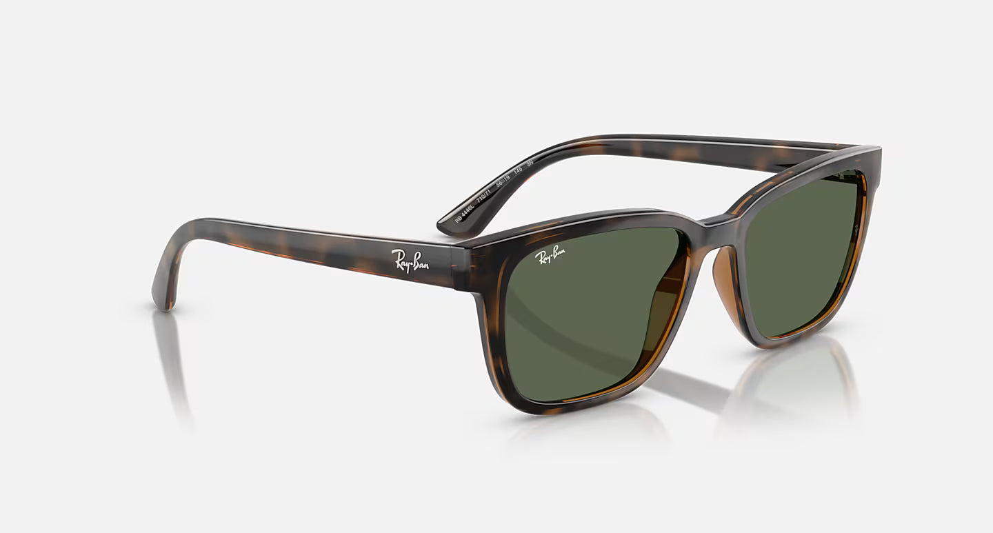 Ray-Ban RB4448L 56