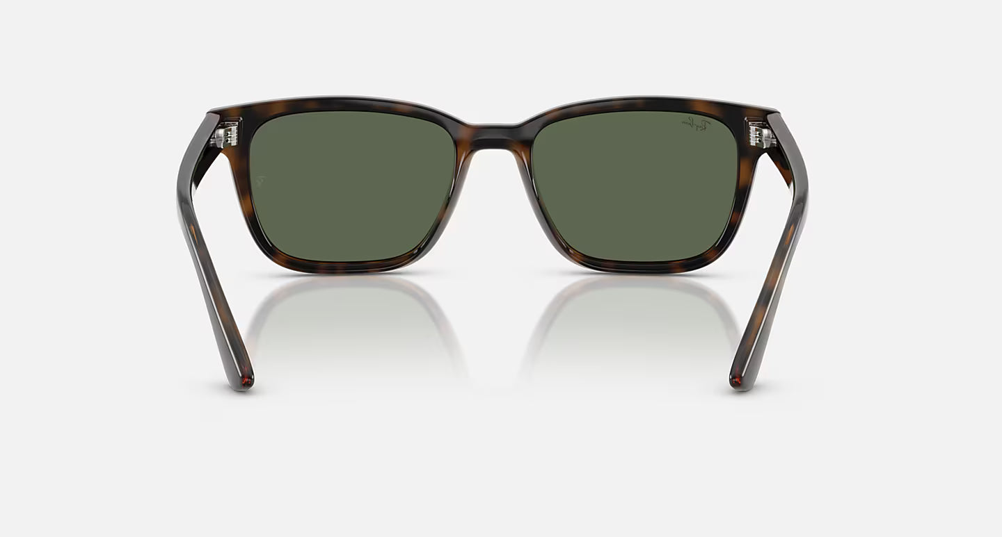 Ray-Ban RB4448L 56