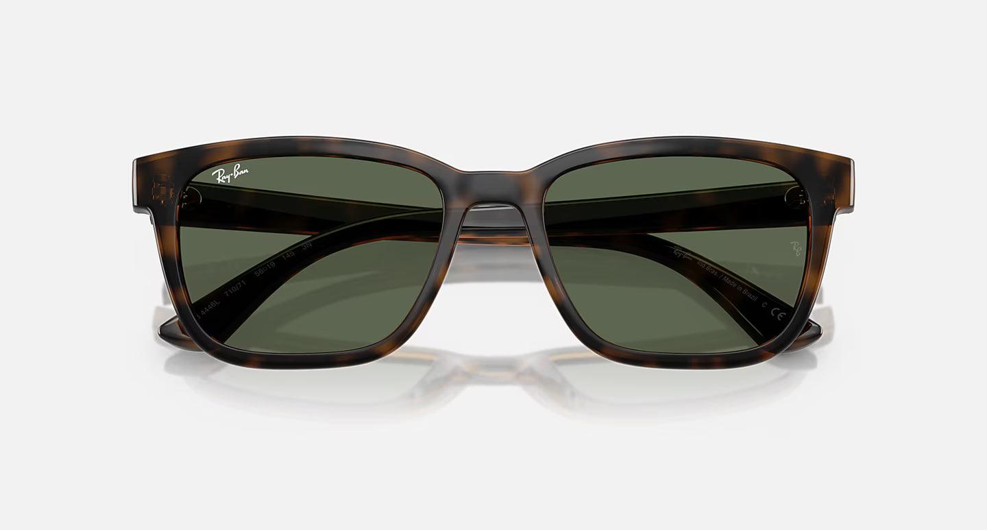 Ray-Ban RB4448L 56