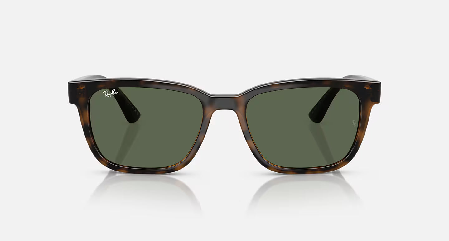 Ray-Ban RB4448L 56