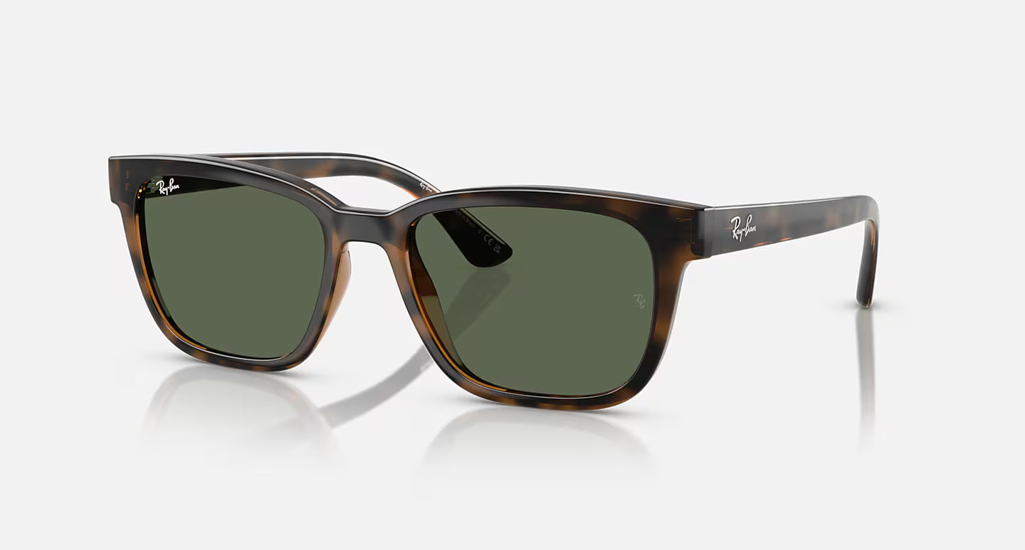 Ray-Ban RB4448L 56