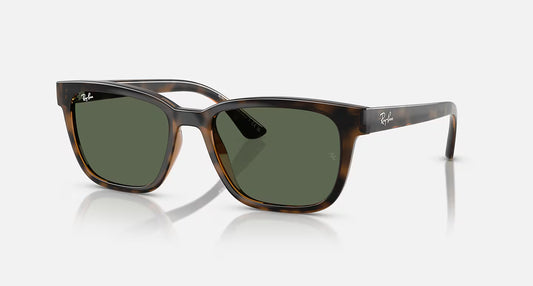 Ray-Ban RB4448L 56