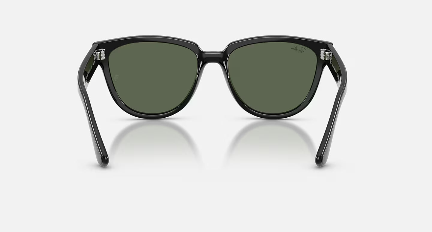 Ray-Ban RB4463L