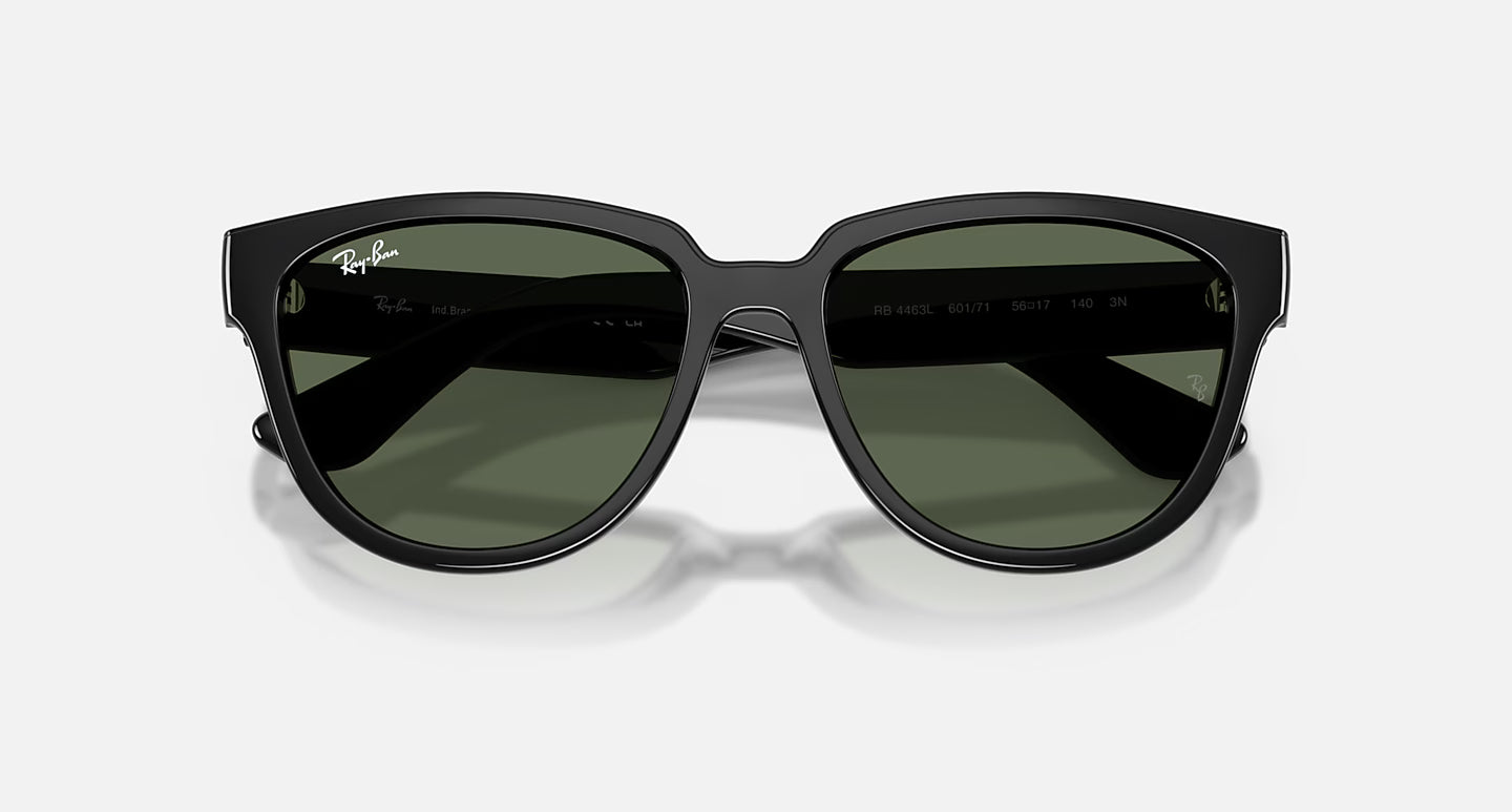 Ray-Ban RB4463L