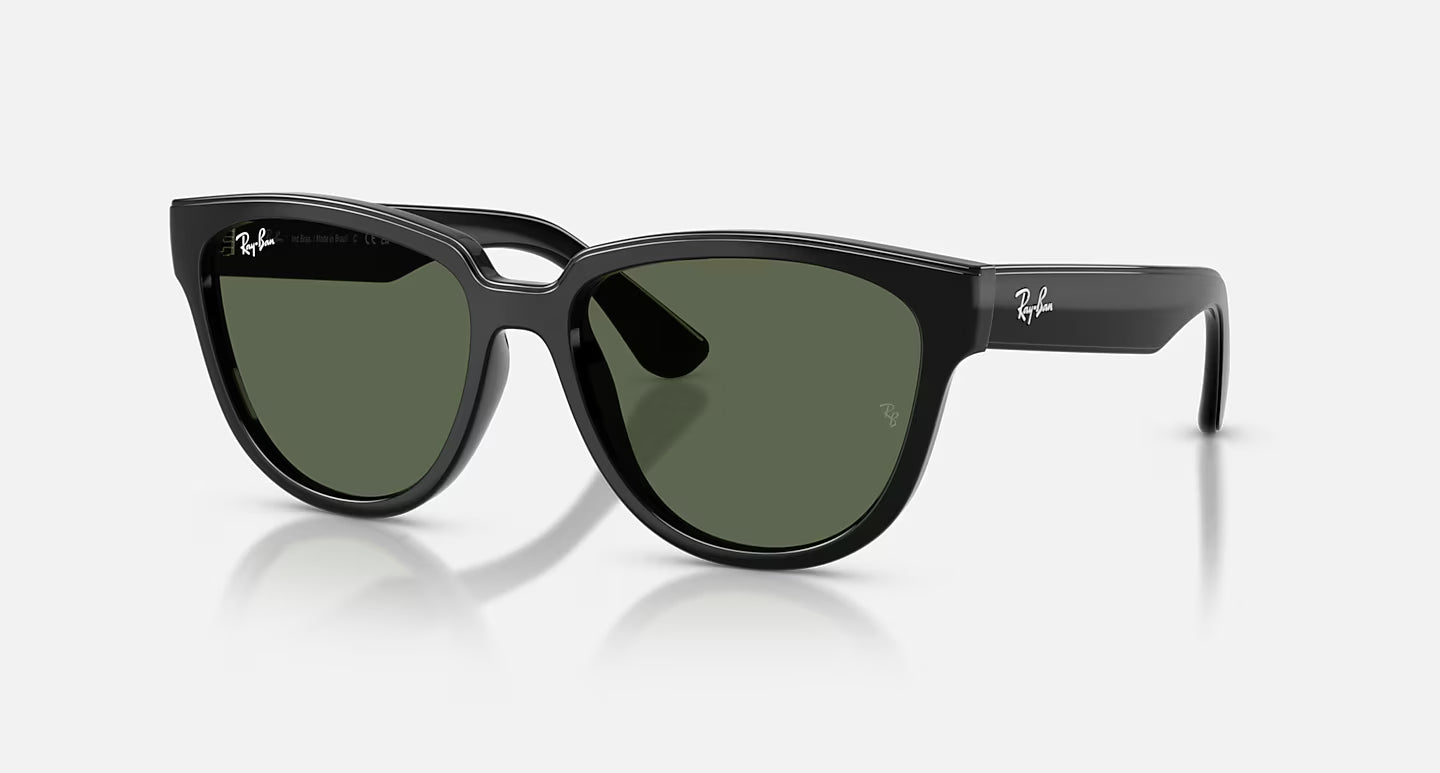 Ray-Ban RB4463L