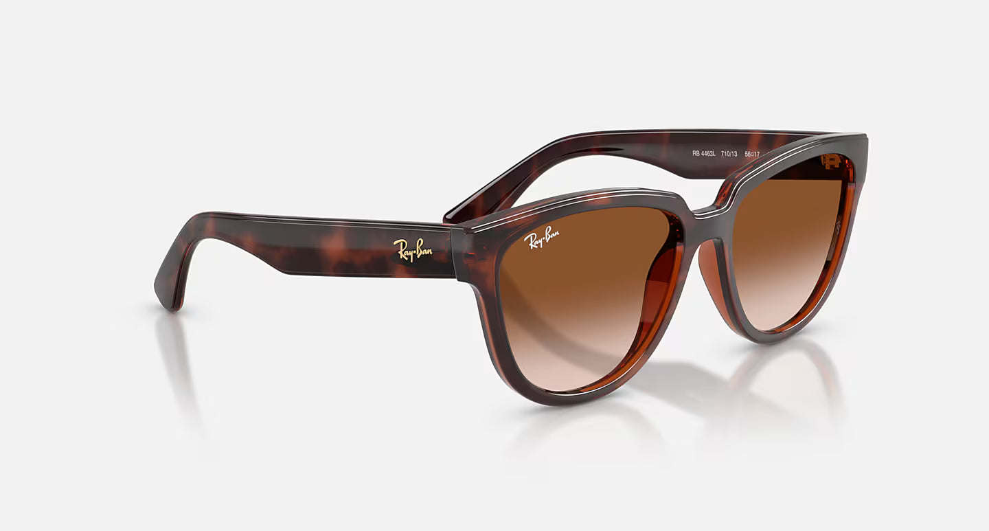 Ray-Ban RB4463L 56