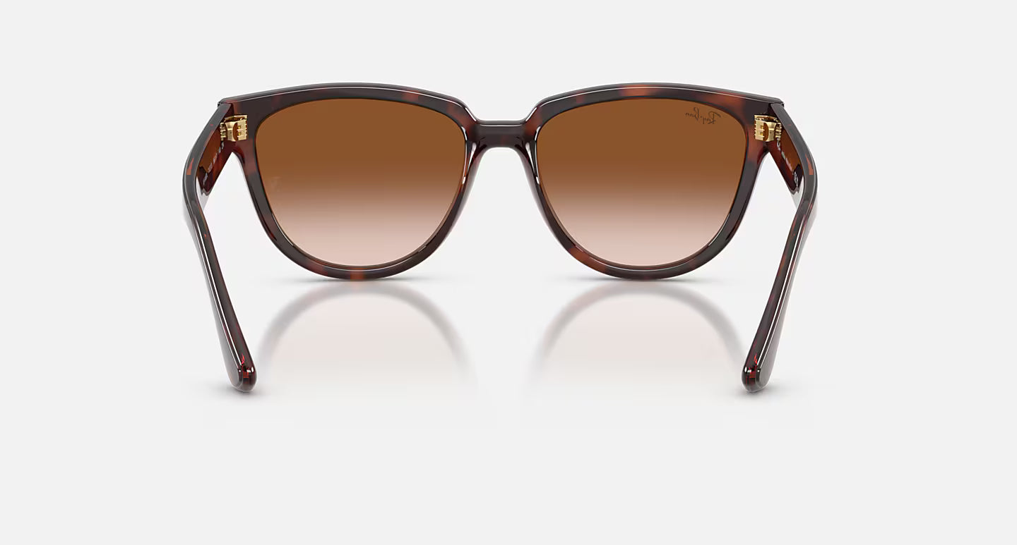 Ray-Ban RB4463L 56
