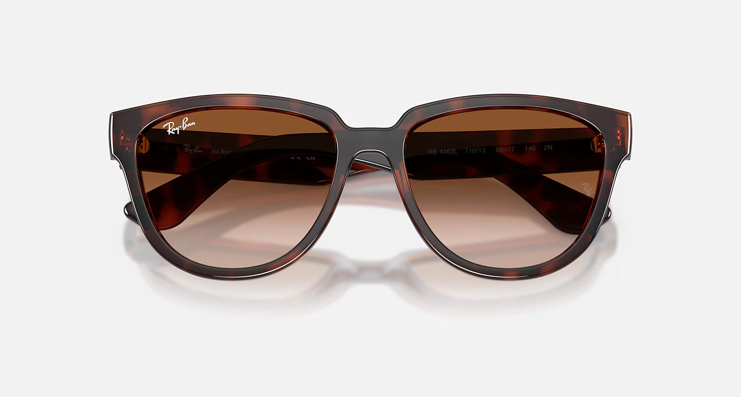 Ray-Ban RB4463L 56
