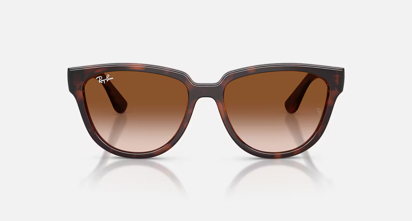 Ray-Ban RB4463L 56