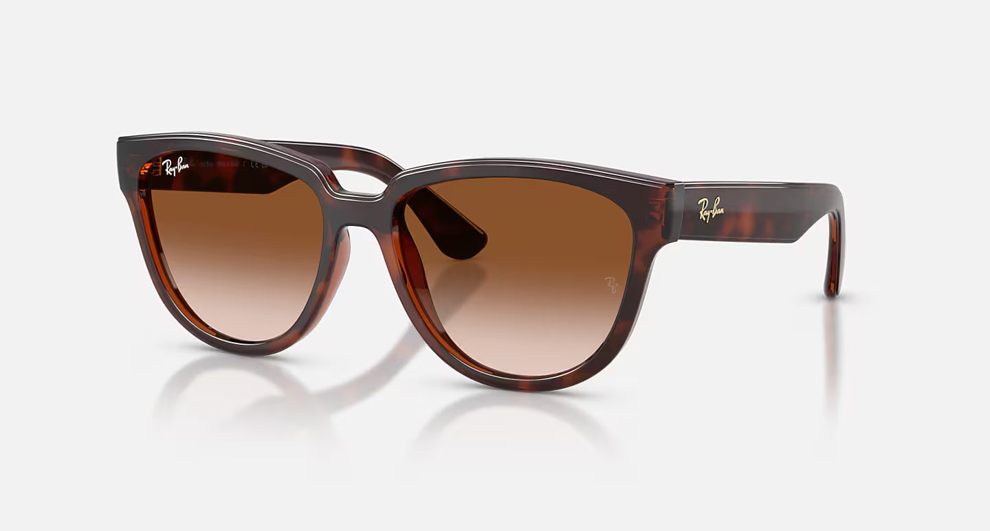 Ray-Ban RB4463L 56