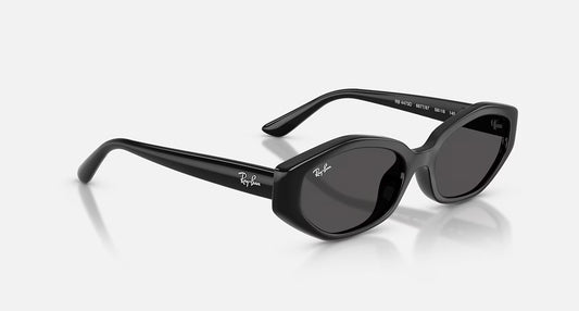 Ray-Ban RB4473D